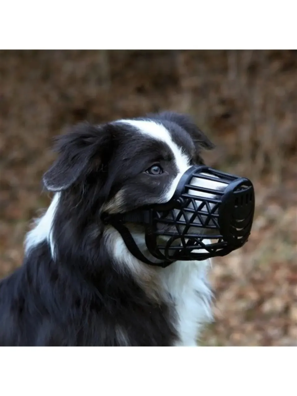Dog Plastic Mouthpiece ، Xl