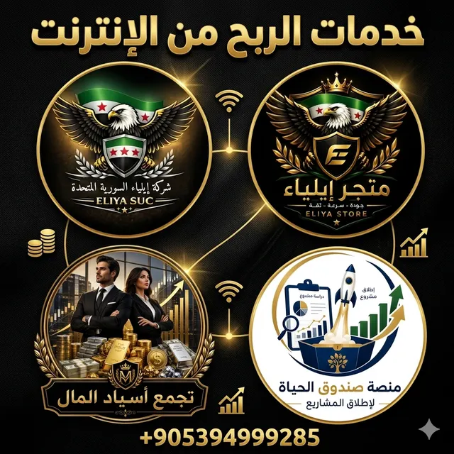 الربح من الإنترنت