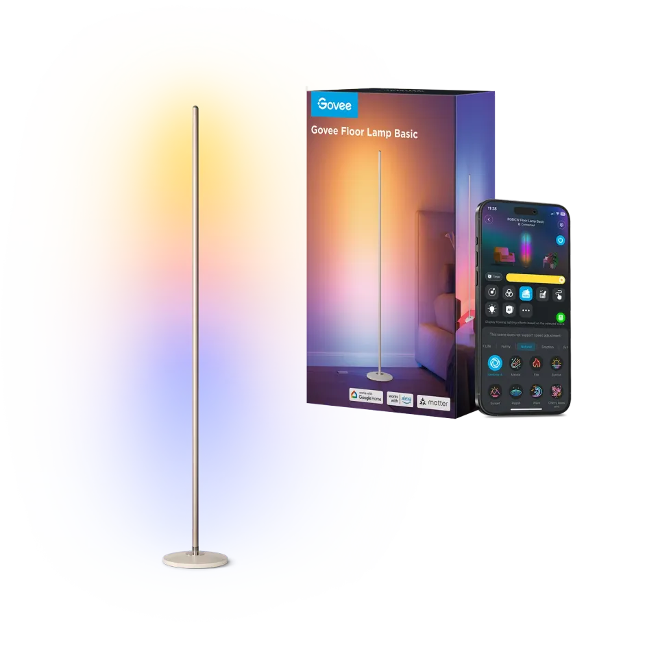 Govee Floor Lamp Basic