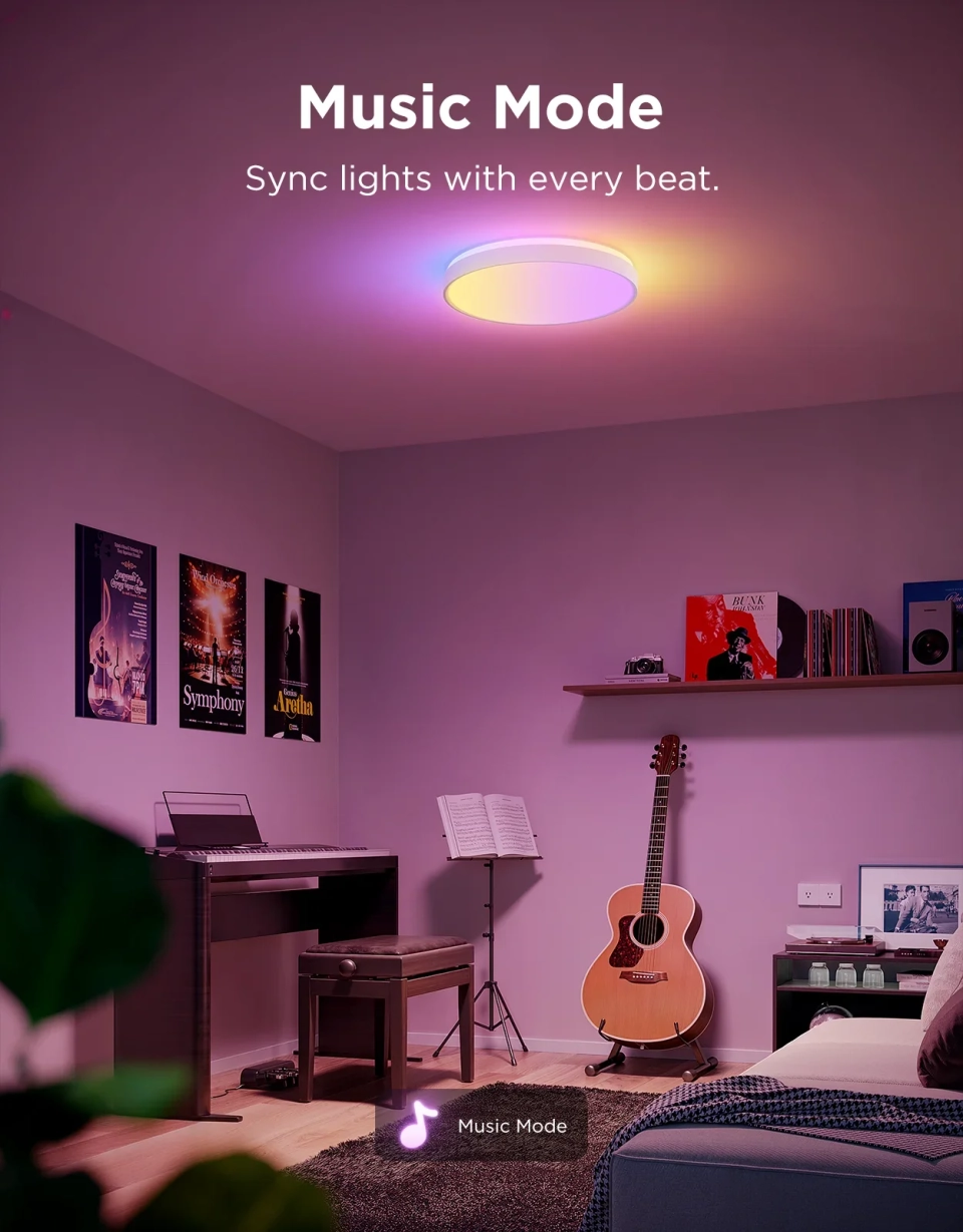 Govee 38cm RGBICWW Smart Ceiling Light Pro 