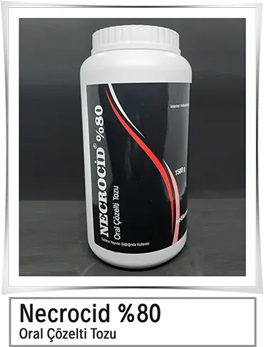 Necrocid %80 
