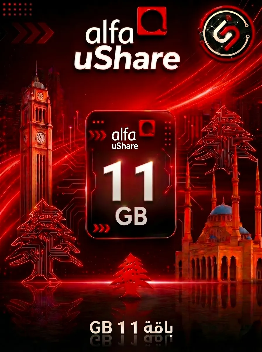 11 GB Quota