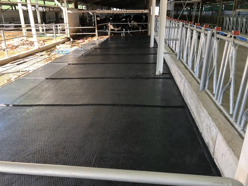 فرشات ابقار - أرضيات مطاطية للأبقار