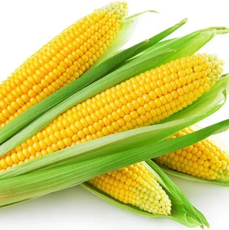 ذرة