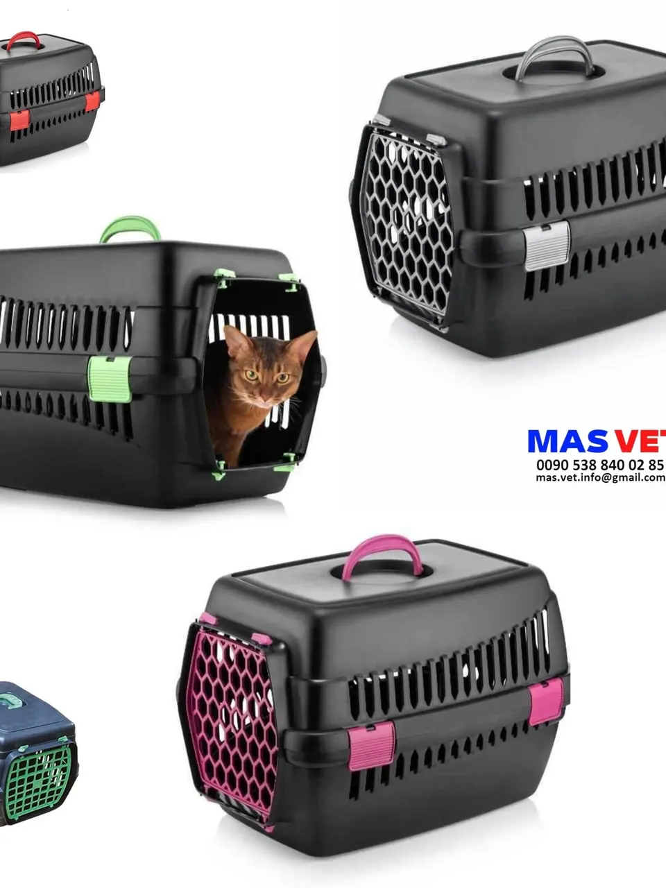 Cat Transport Box Dog Box Small Dogs Cat Box 