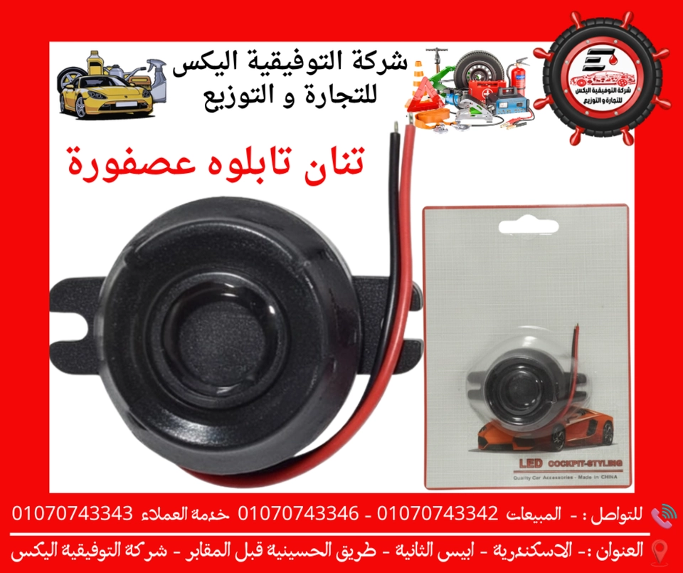 تنان باب عصفوره