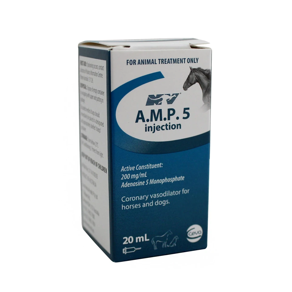 AMP 5