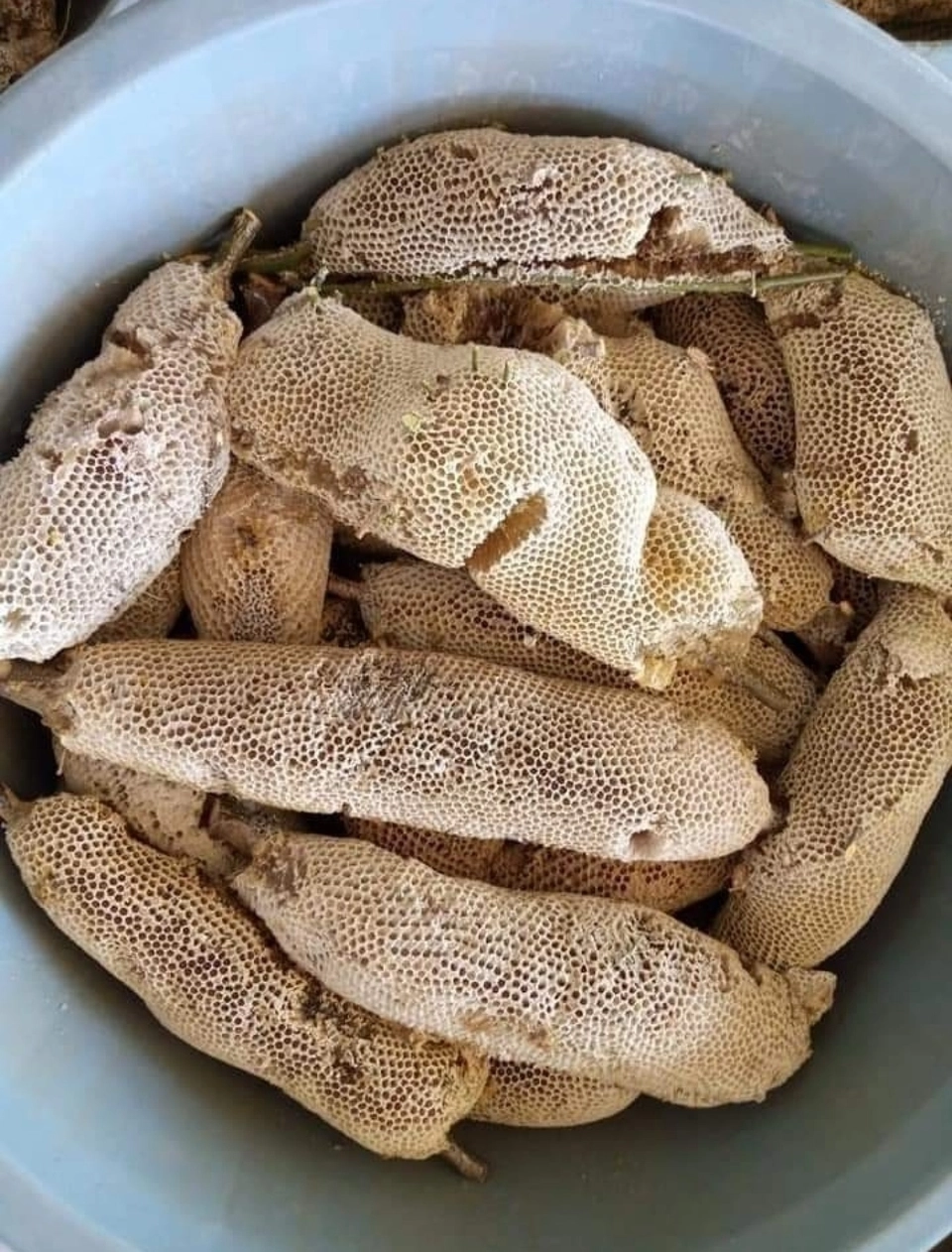عسل ابو طويق