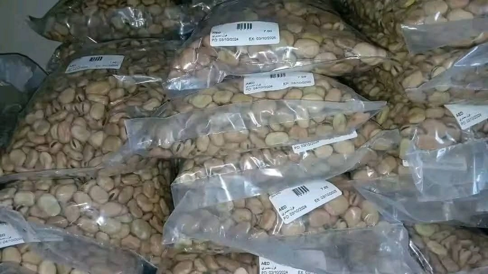 فول مصري