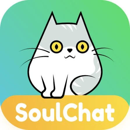 Soul chat سيرفر 2