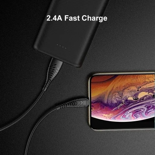 Lightning / iPhone Charging Cable 