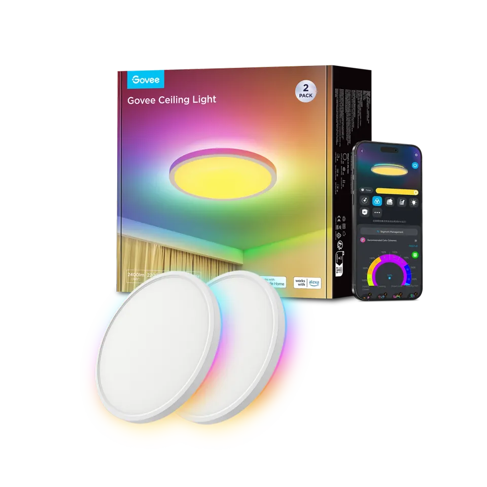 Govee ceiling Light