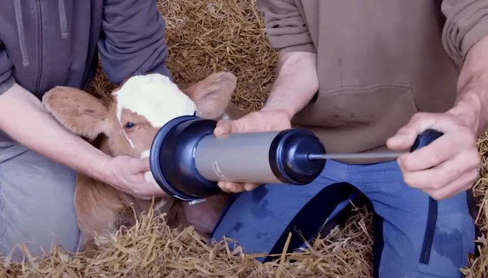 جهاز إنعاش العجل من HK