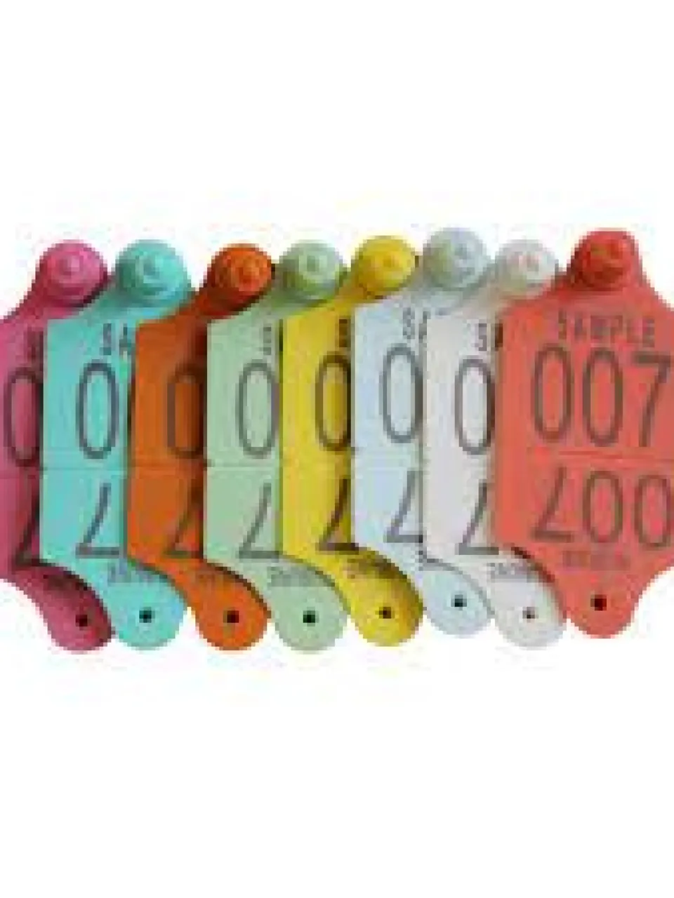 )animal ear tags - Larg animals (66mm x 56mm)