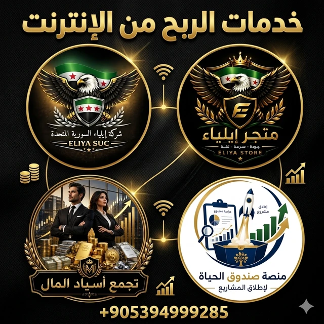 الربح من الإنترنت