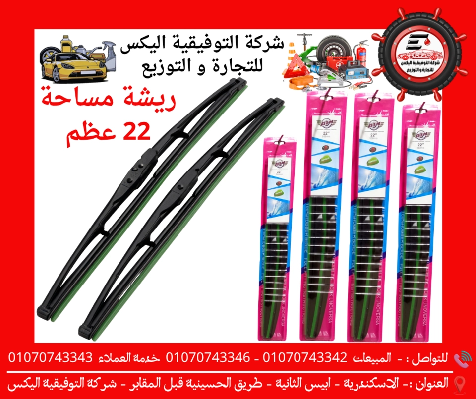 ريشة مساحة 22 عظم