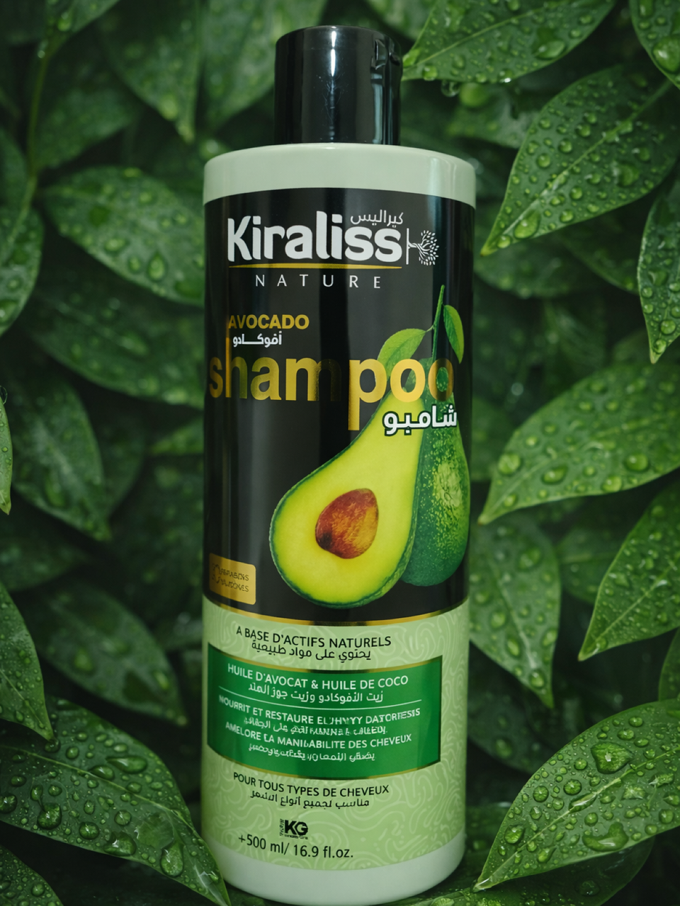 شامبوان افوكادو حجم 500مل