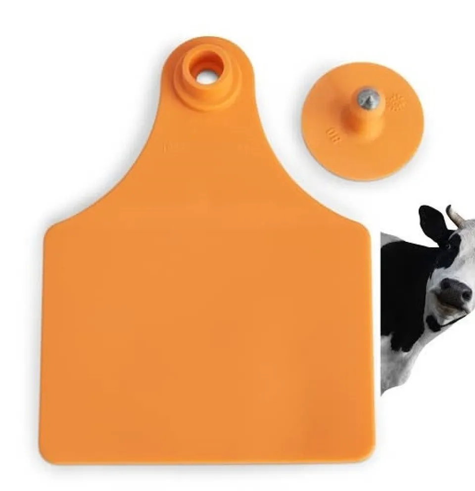 ارقام بطاقات الاذن للابقار حجم كبير (100mm x 67mm (