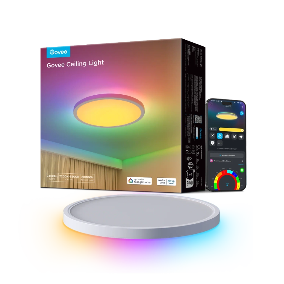 Govee ceiling Light