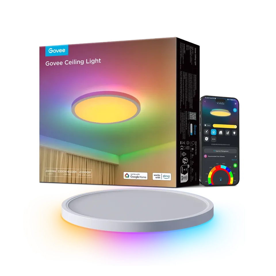 Govee ceiling Light