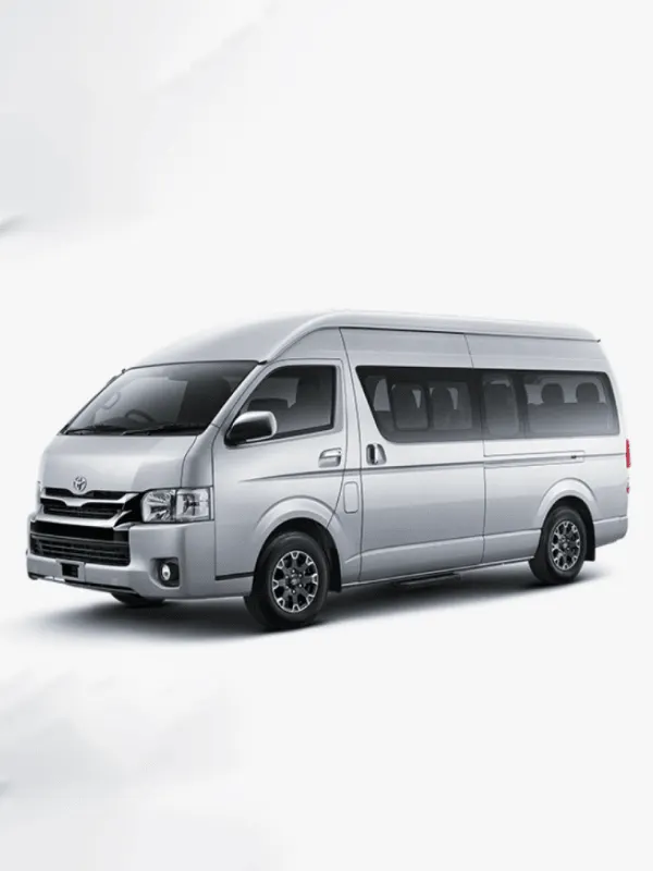 نقل مطار دمشق (ضمن دمشق ) باص صغير