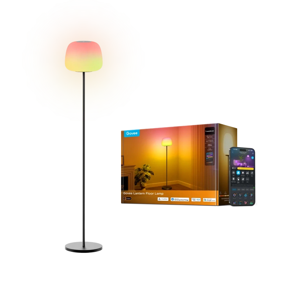 Govee Lanern Floor Lamp