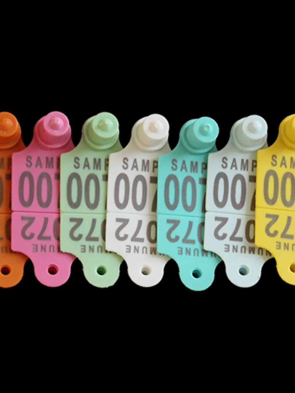 ارقام بطاقات الاذن مربع للاغنام   45mm x 35mm 