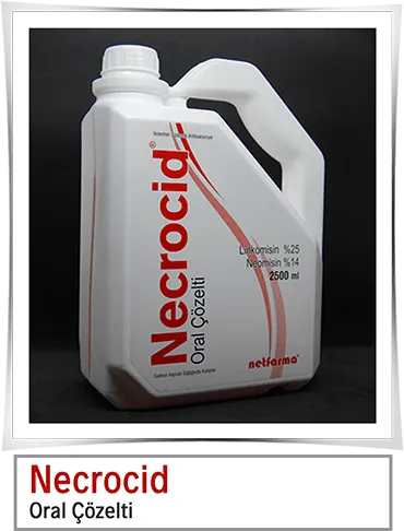 Necrocid  2,5 lt