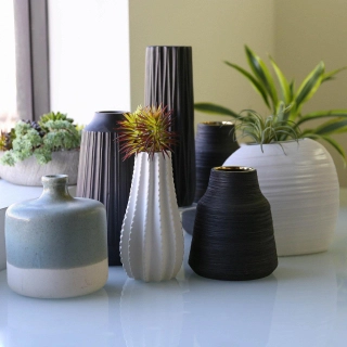 Decor & Accessories