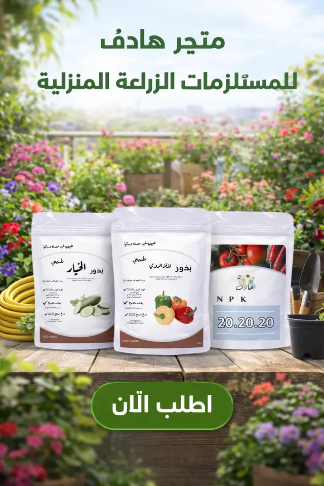 الأكثر مبيعاً
