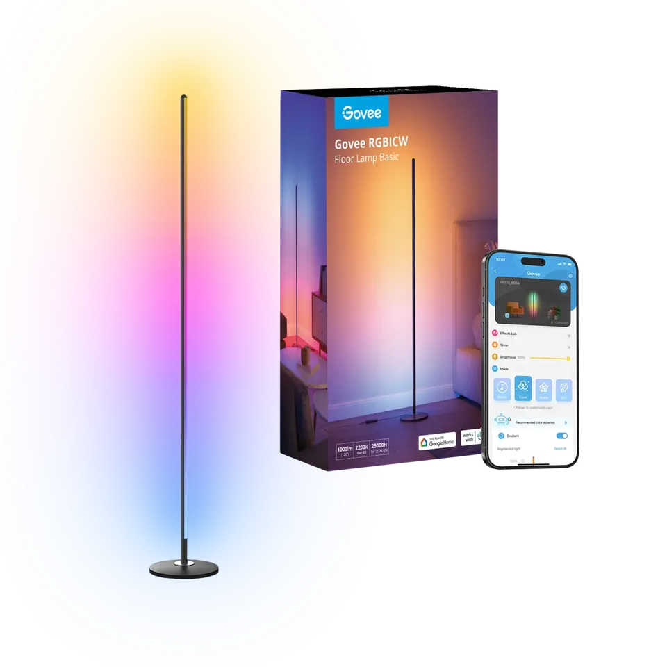 Govee Floor Lamp Basic