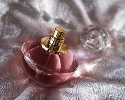 عطور نسائية