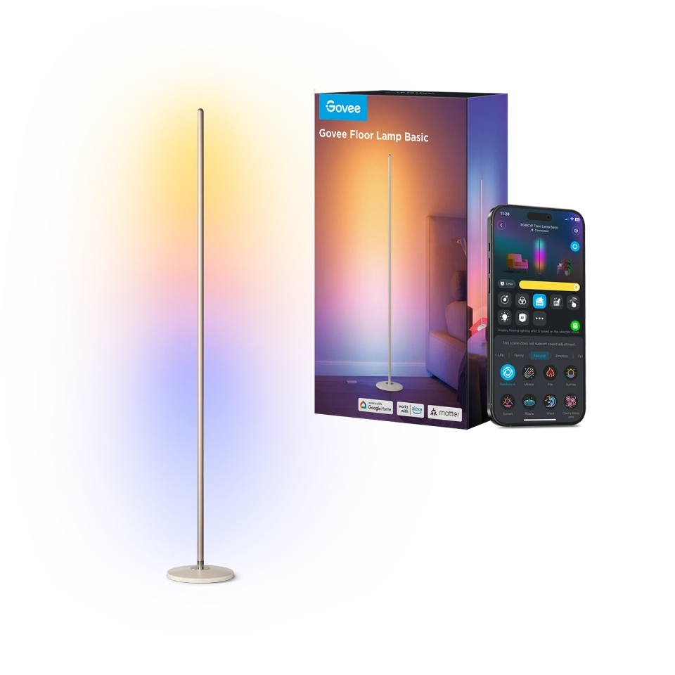 Govee Floor Lamp Basic