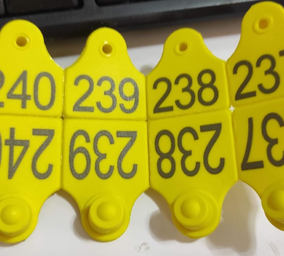 ارقام بطاقات الاذن مربع للاغنام   45mm x 35mm 