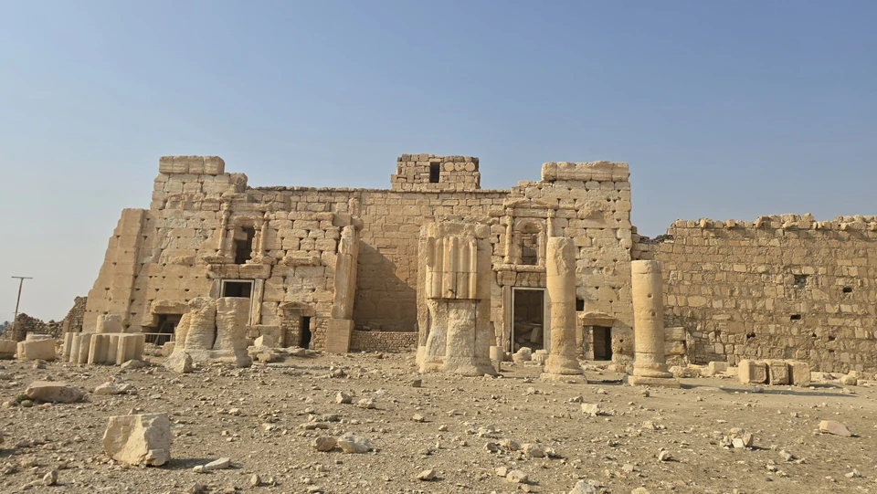 Palmyra