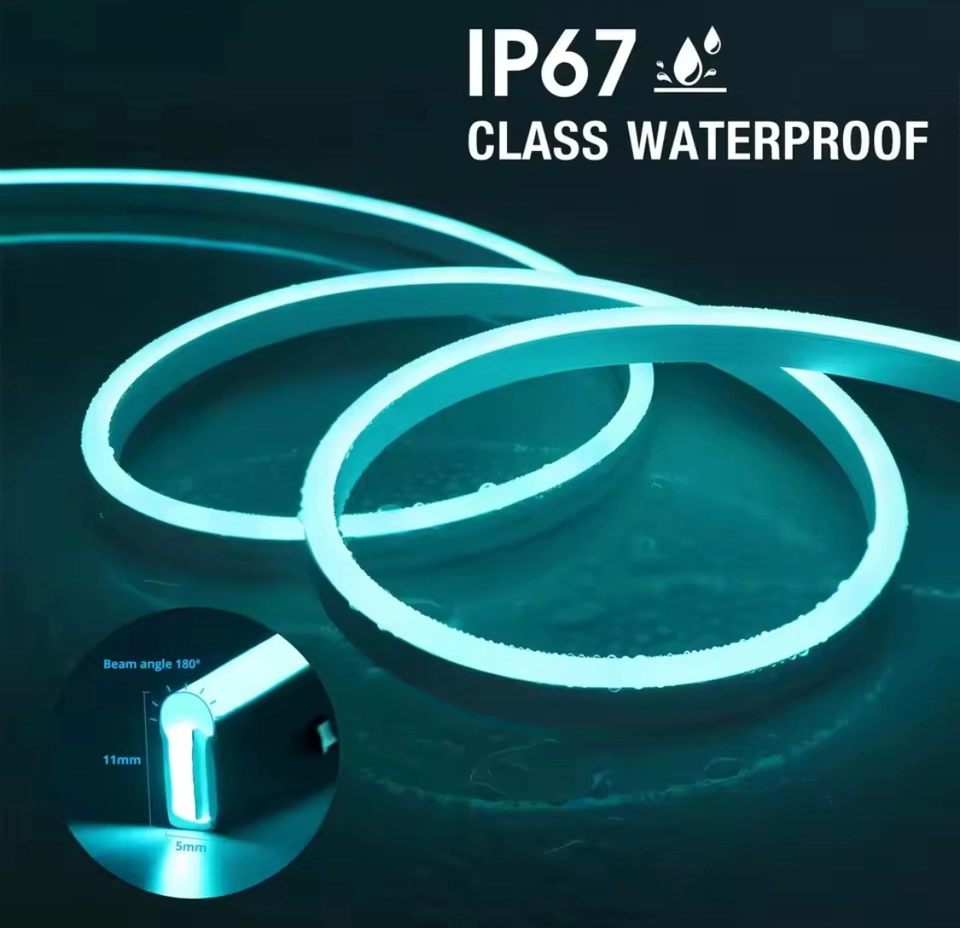 لد نيون led neon 
