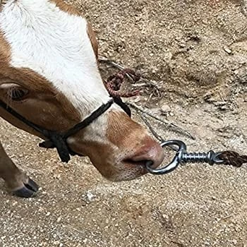 ماسك انف بنابض