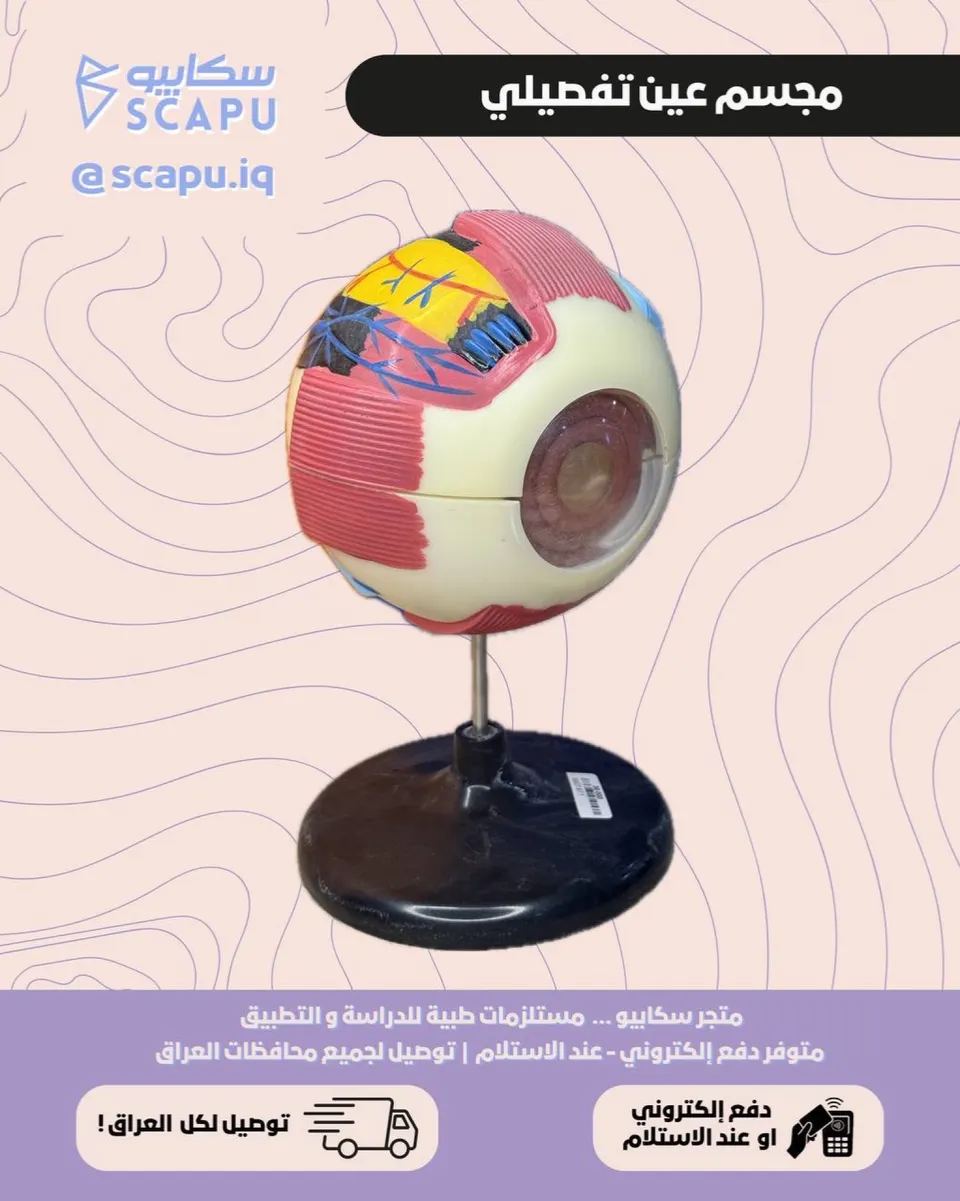 eye-ball