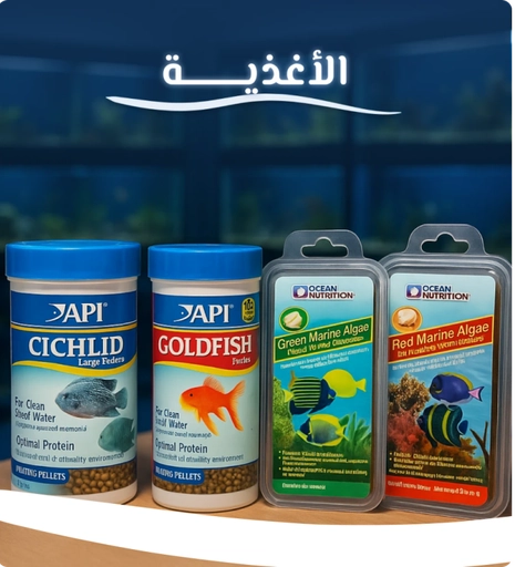 الأغذية