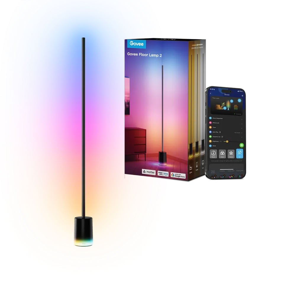Govee Floor lamp 2