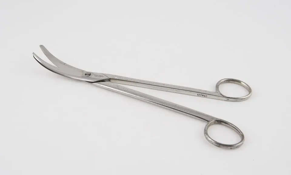 Surgical Scissor Curved