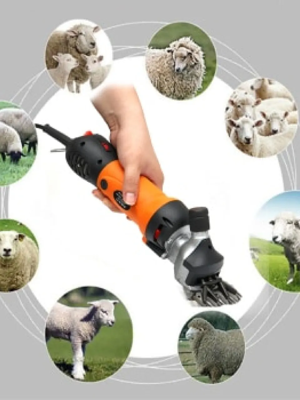ماكينة جز الاغنام - عادية