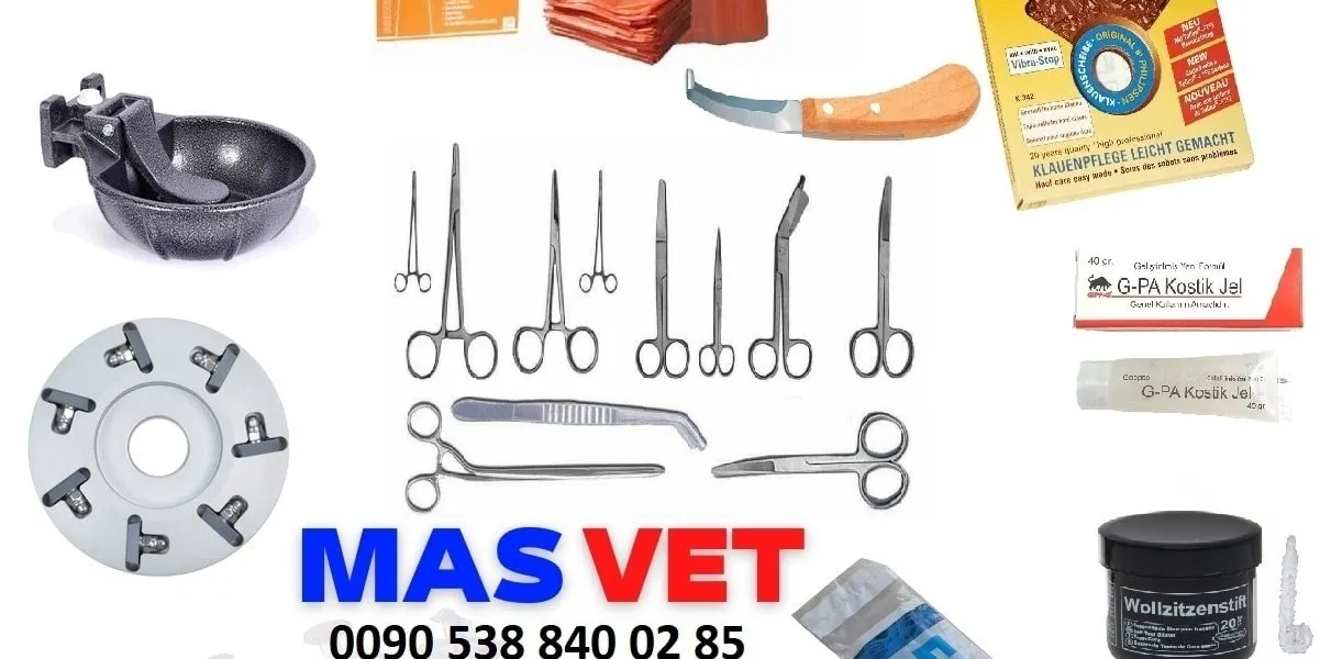 الخيار الافضل