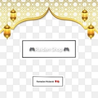 RaidenShop