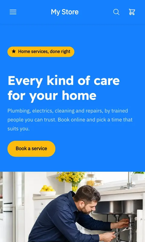 Sanad - Services store template