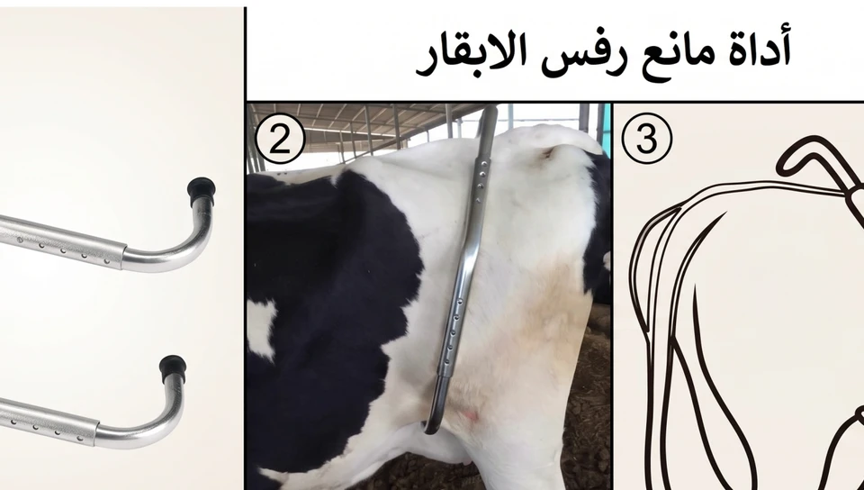مانع رفس البقر (Anti-Kick Device)