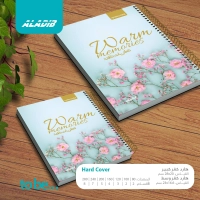 رسمة 2
