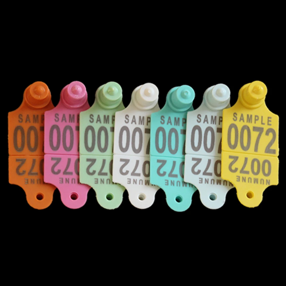 ارقام بطاقات الاذن مربع للاغنام   45mm x 35mm - وجهين