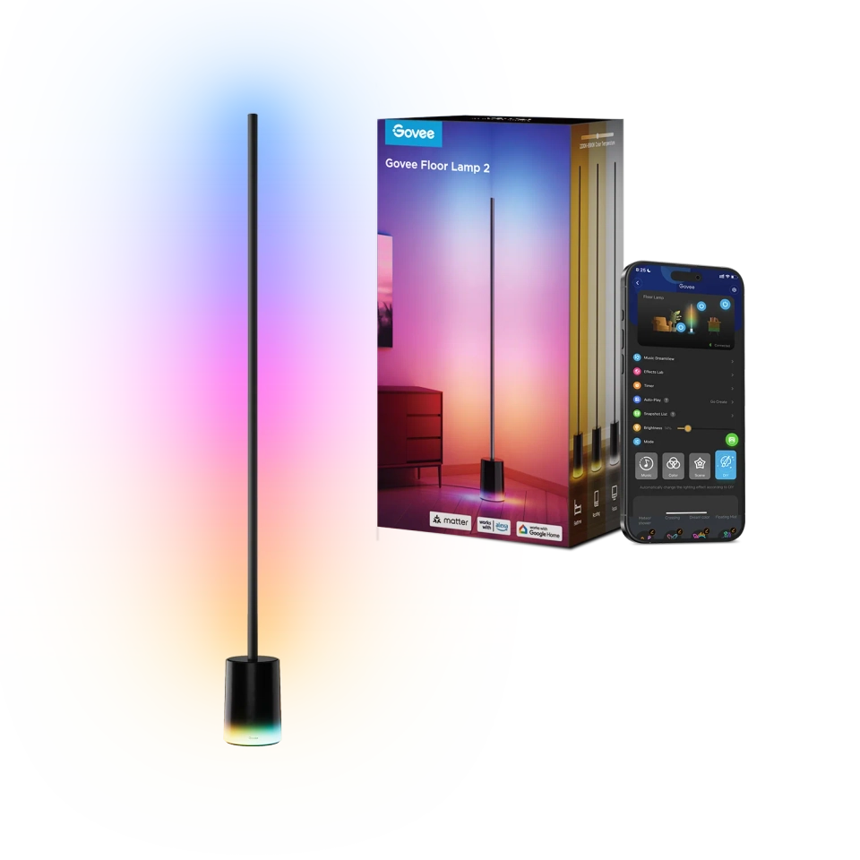 Govee Floor lamp 2