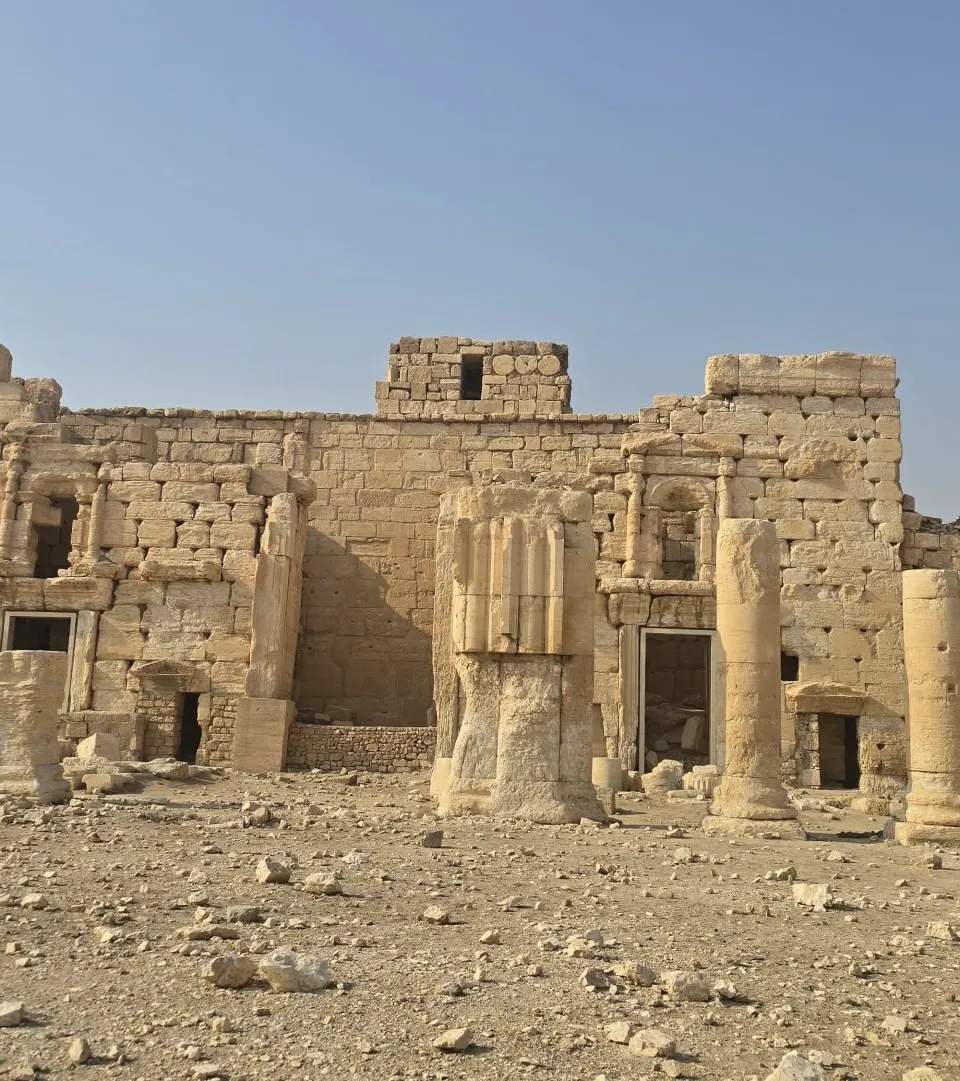 Palmyra